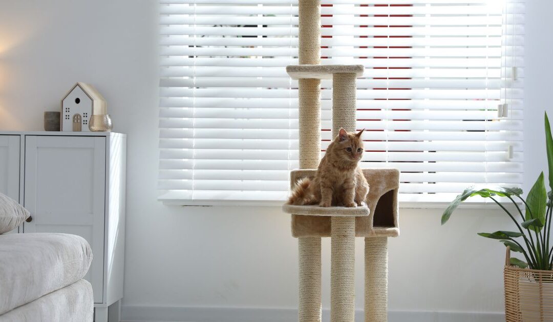 How to Keep Your Pets Happy and Your Home Protected with Pets Furniture