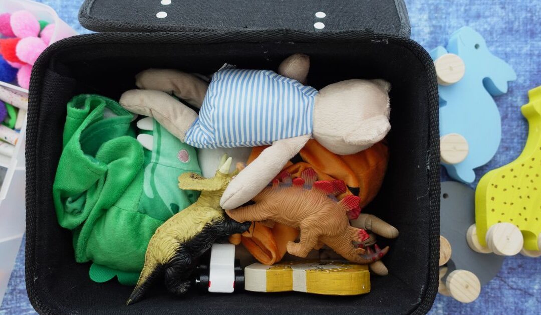 Say Goodbye to Pet Chaos with Chic Pets Storage and Organizer Ideas