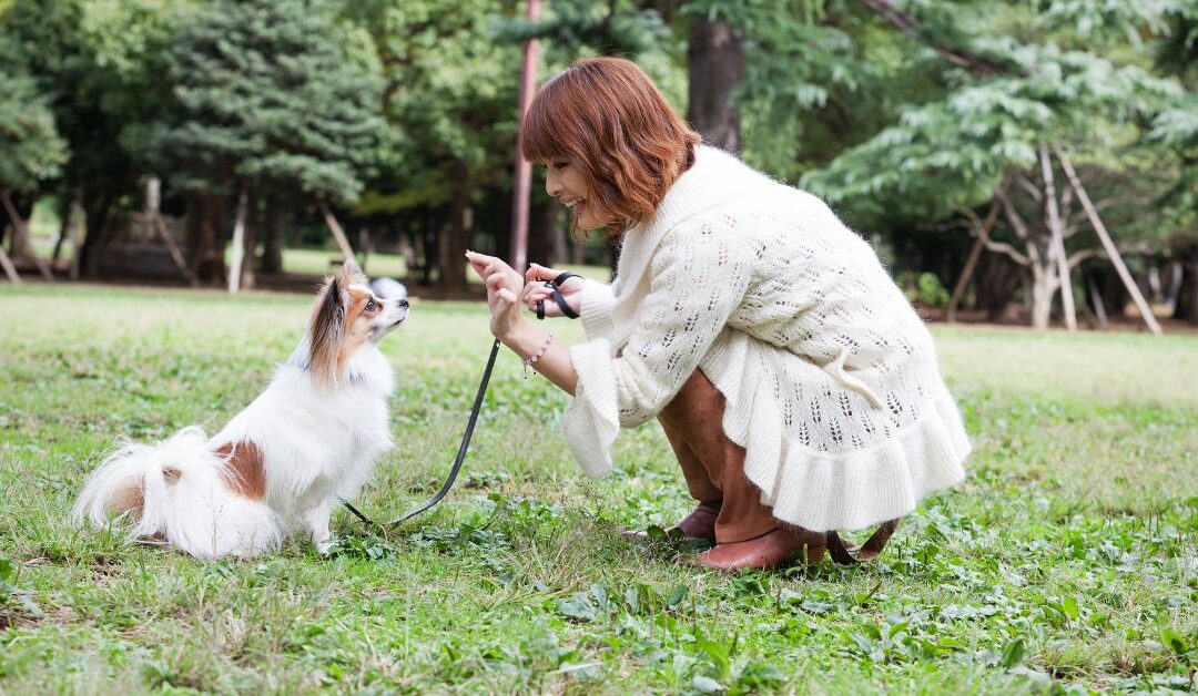 Master Pet Training & Behavior With These Simple Tools Every Pet Owner Needs